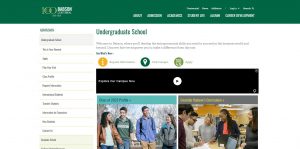 Babson College Undergraduate Business