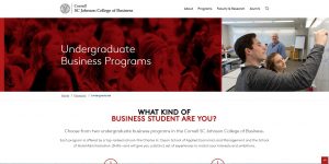 Cornell University Undergraduate Business