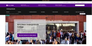 New York University Undergraduate Business